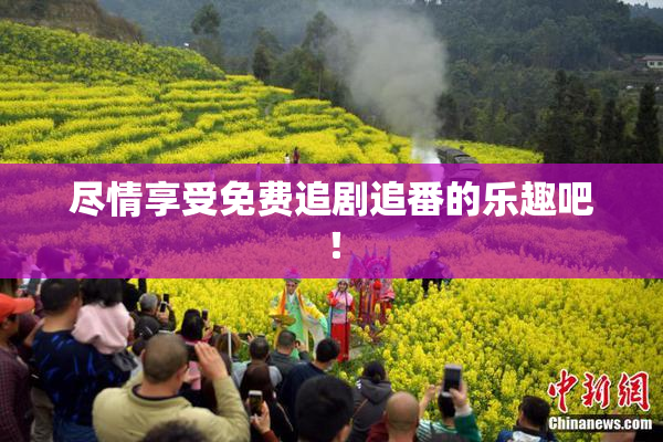 尽情享受免费追剧追番的乐趣吧！