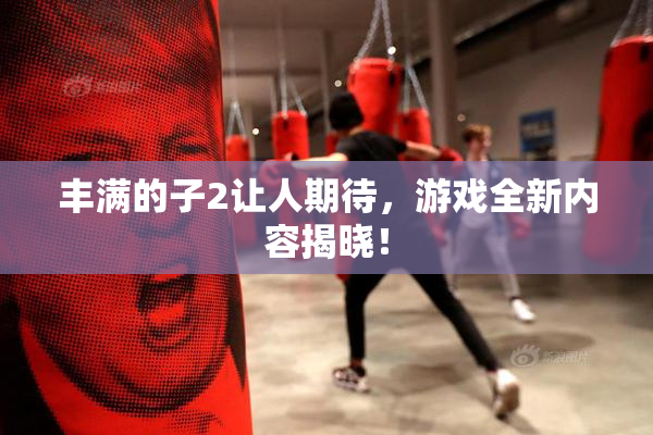 丰满的子2让人期待，游戏全新内容揭晓！