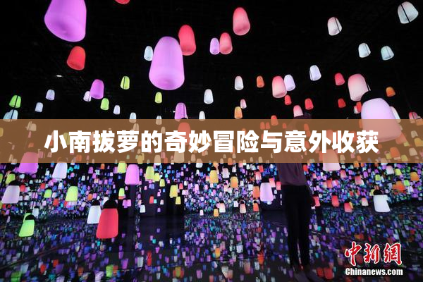 小南拔萝的奇妙冒险与意外收获