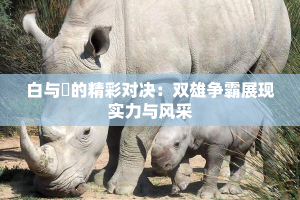 白与晄的精彩对决：双雄争霸展现实力与风采