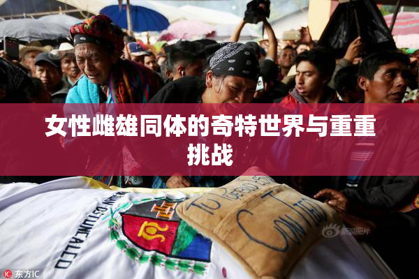 女性雌雄同体的奇特世界与重重挑战