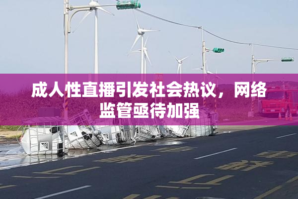 成人性直播引发社会热议，网络监管亟待加强