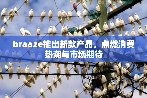 braaze推出新款产品，点燃消费热潮与市场期待