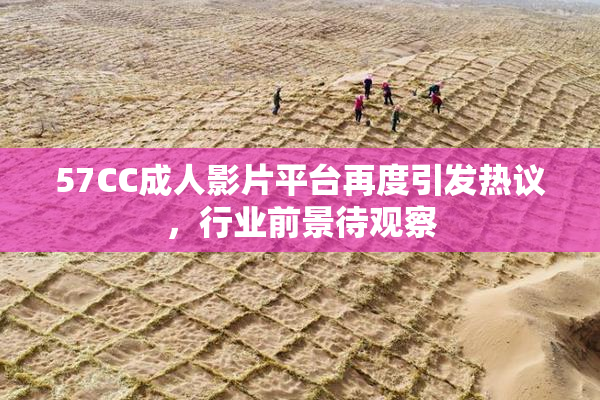 57CC成人影片平台再度引发热议，行业前景待观察