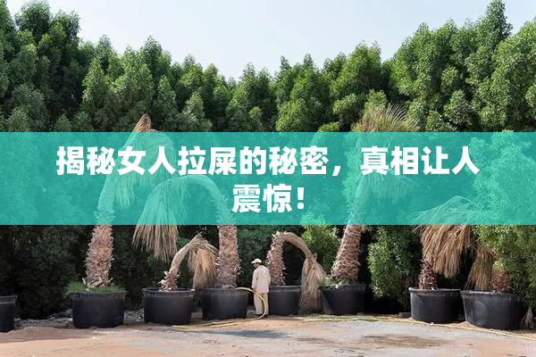 揭秘女人拉屎的秘密，真相让人震惊！