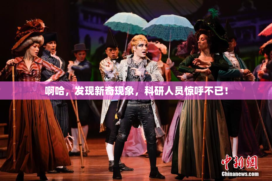 啊哈，发现新奇现象，科研人员惊呼不已！