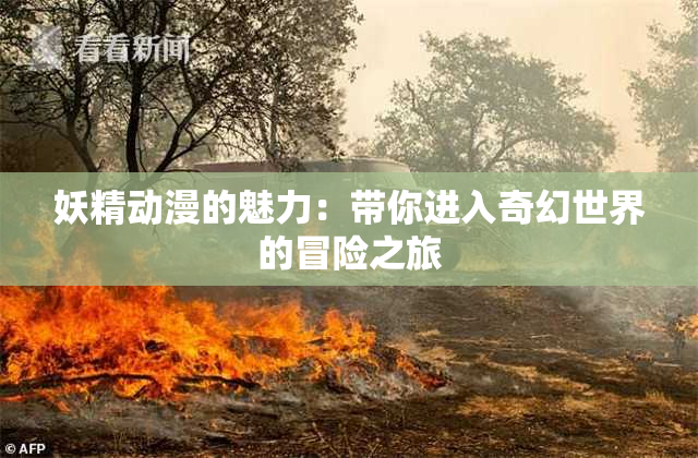 妖精动漫的魅力：带你进入奇幻世界的冒险之旅
