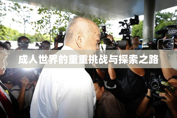 成人世界的重重挑战与探索之路