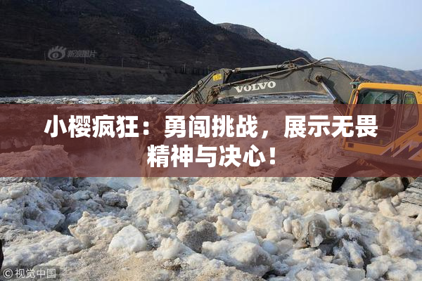 小樱疯狂：勇闯挑战，展示无畏精神与决心！