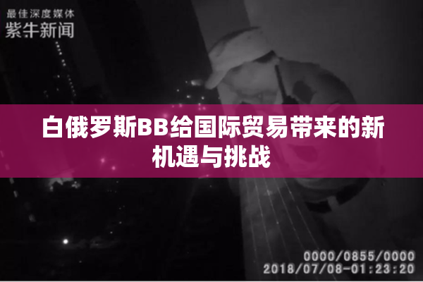 白俄罗斯BB给国际贸易带来的新机遇与挑战