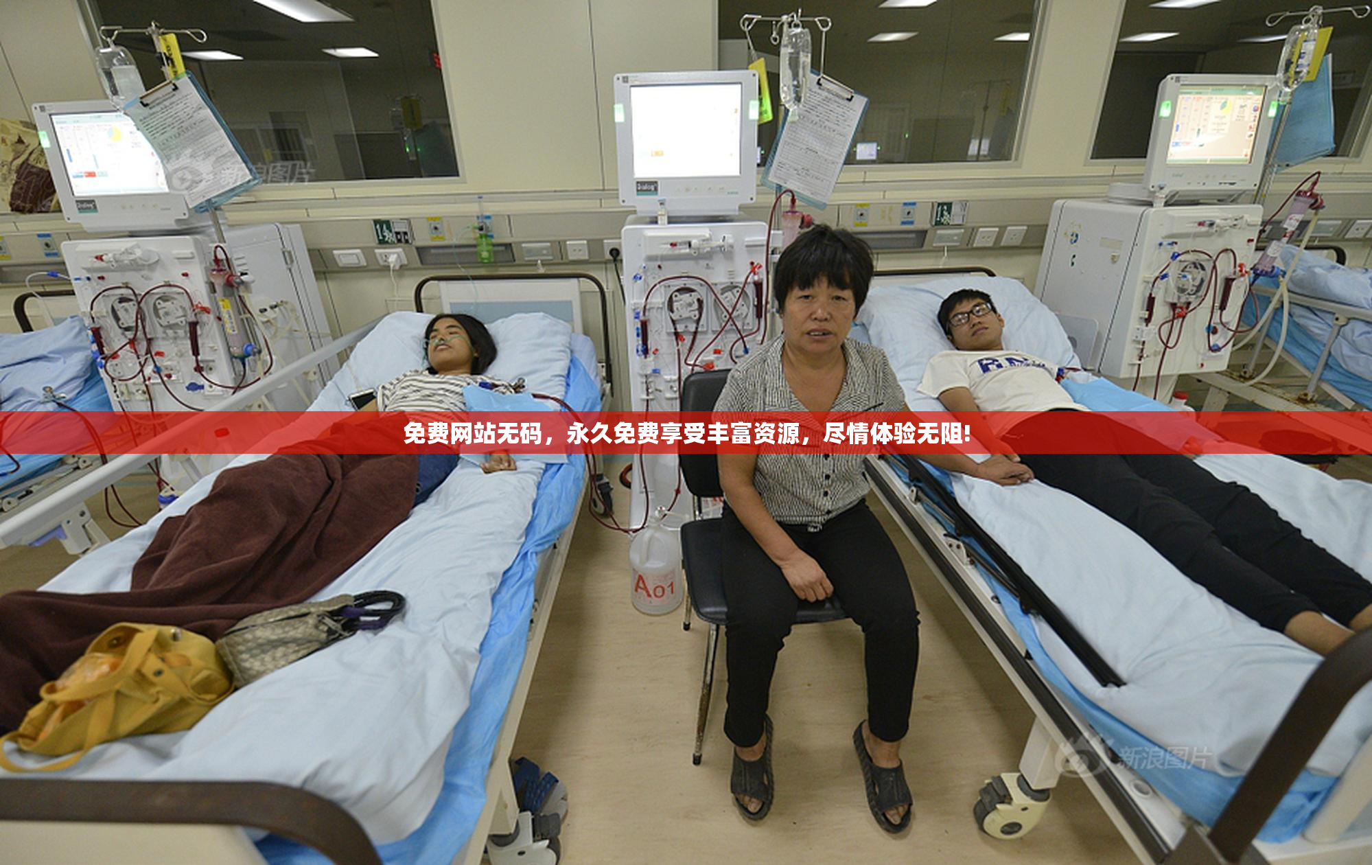 免费网站无码，永久免费享受丰富资源，尽情体验无阻!