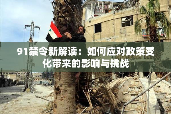 91禁令新解读：如何应对政策变化带来的影响与挑战