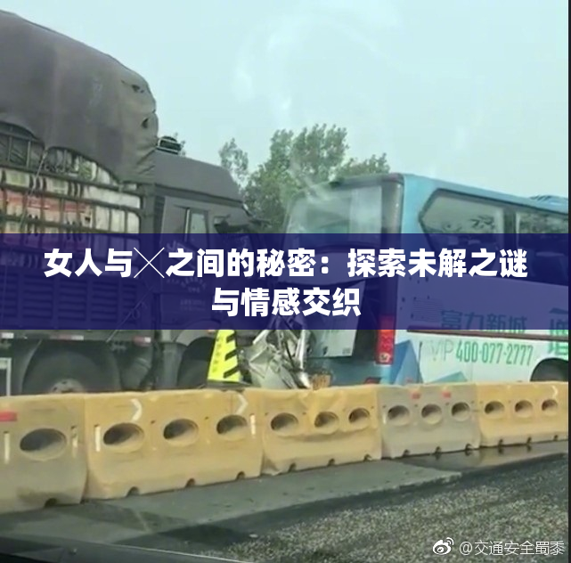 女人与╳之间的秘密：探索未解之谜与情感交织