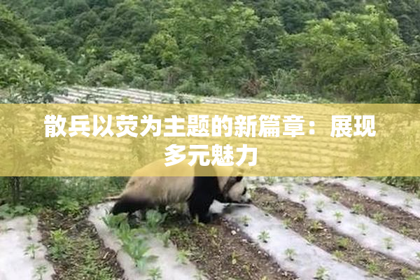 散兵以荧为主题的新篇章：展现多元魅力