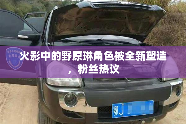 火影中的野原琳角色被全新塑造，粉丝热议