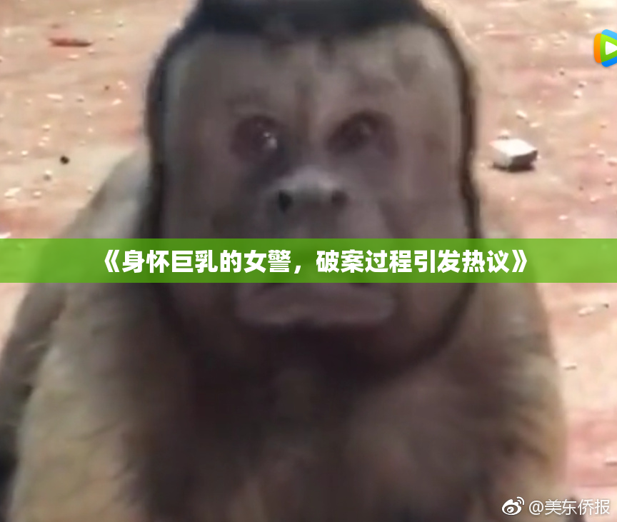 《身怀巨乳的女警，破案过程引发热议》