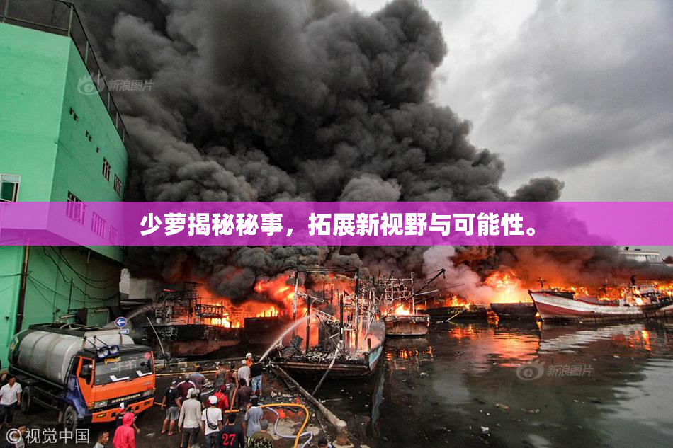 少萝揭秘秘事，拓展新视野与可能性。