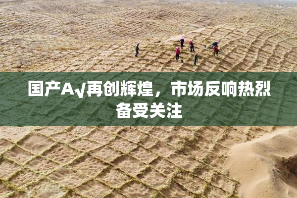 国产A√再创辉煌，市场反响热烈备受关注