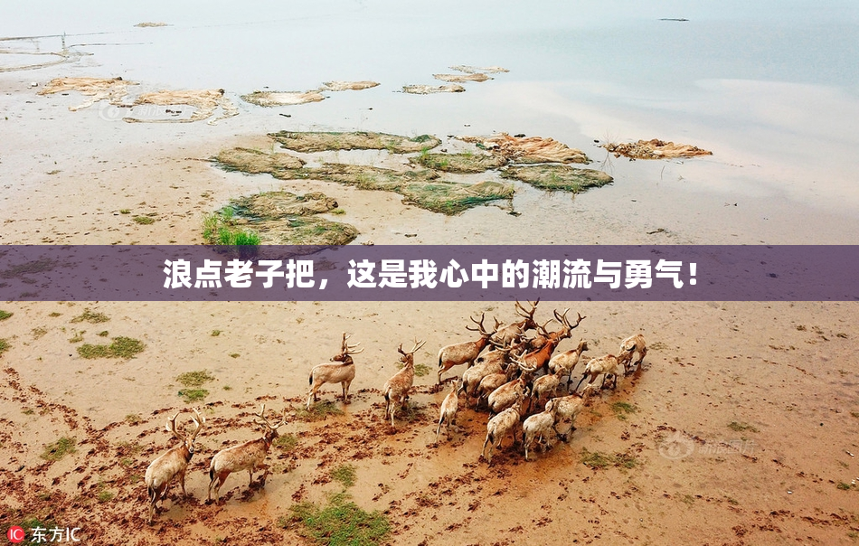 浪点老子把，这是我心中的潮流与勇气！