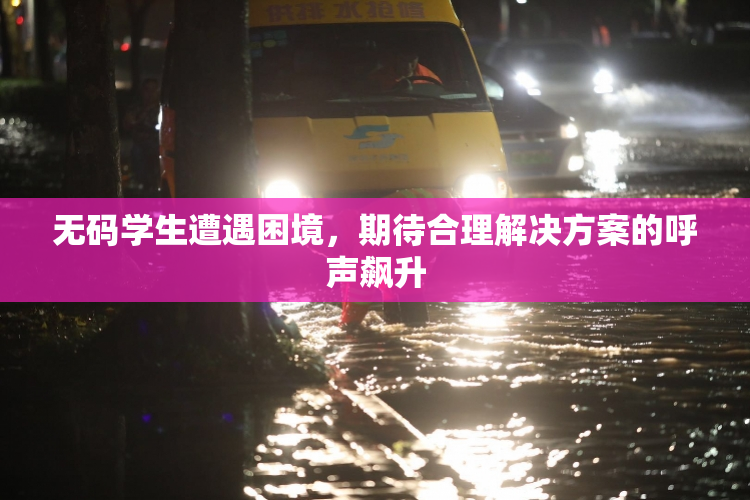 无码学生遭遇困境，期待合理解决方案的呼声飙升