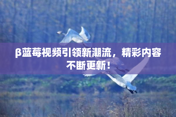 β蓝莓视频引领新潮流，精彩内容不断更新！