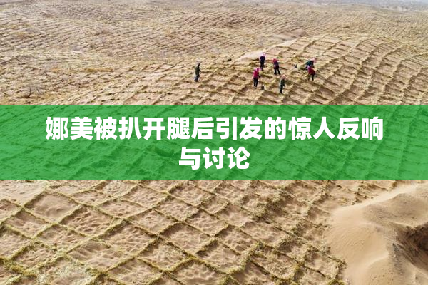 娜美被扒开腿后引发的惊人反响与讨论