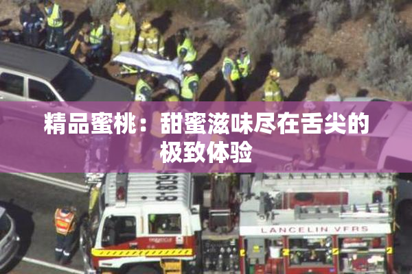 精品蜜桃：甜蜜滋味尽在舌尖的极致体验