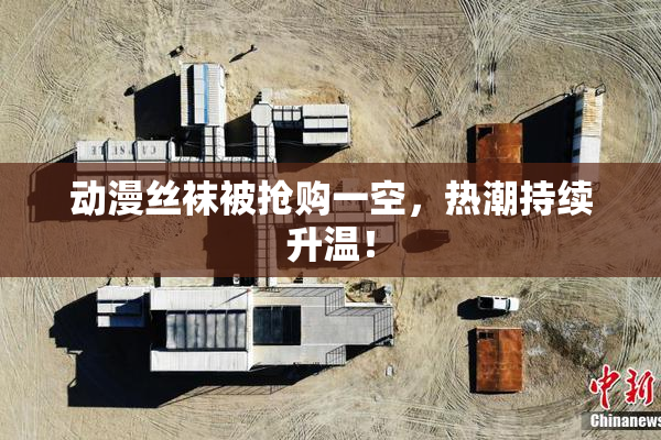 动漫丝袜被抢购一空，热潮持续升温！