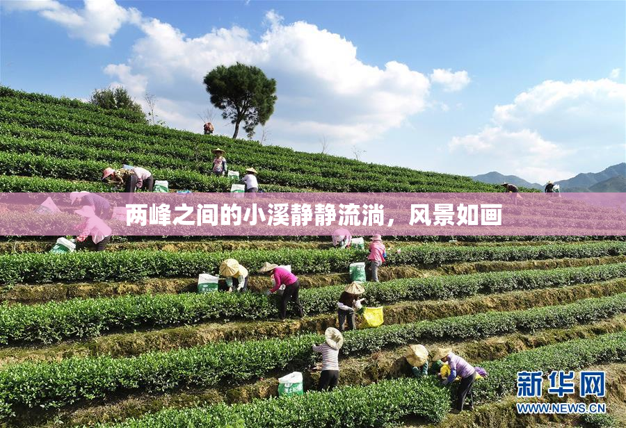 两峰之间的小溪静静流淌，风景如画