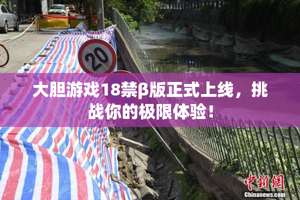 大胆游戏18禁β版正式上线，挑战你的极限体验！