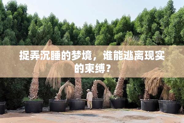 捉弄沉睡的梦境，谁能逃离现实的束缚？
