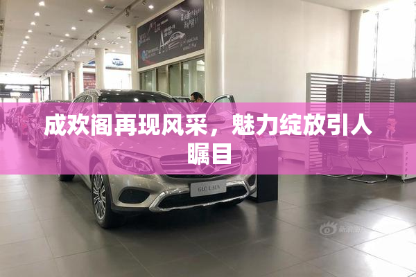 成欢阁再现风采，魅力绽放引人瞩目
