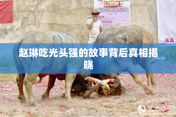 赵琳吃光头强的故事背后真相揭晓