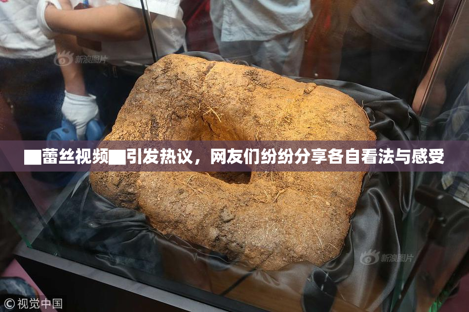 ▇蕾丝视频▇引发热议，网友们纷纷分享各自看法与感受