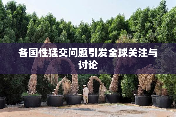 各国性猛交问题引发全球关注与讨论
