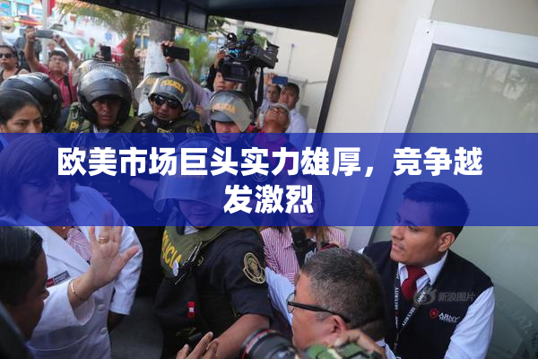 欧美市场巨头实力雄厚，竞争越发激烈