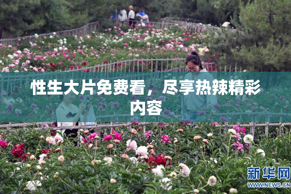 性生大片免费看，尽享热辣精彩内容