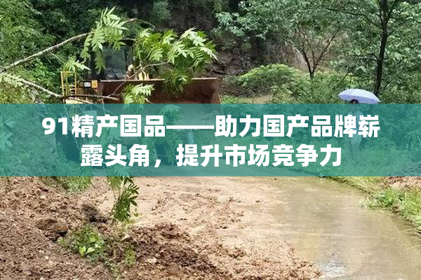 91精产国品——助力国产品牌崭露头角，提升市场竞争力