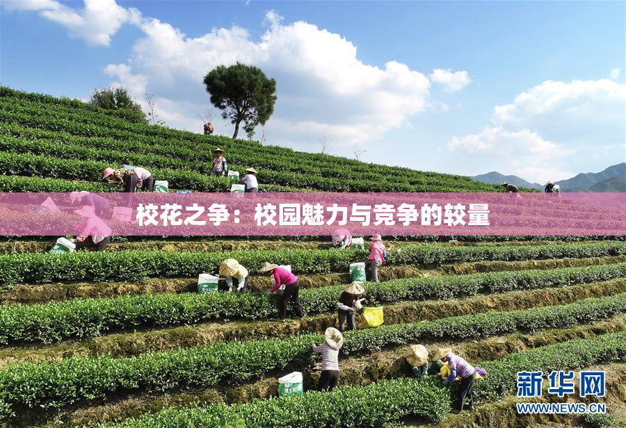 校花之争：校园魅力与竞争的较量