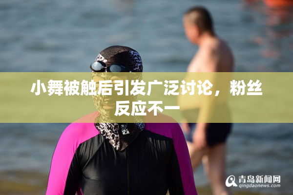 小舞被触后引发广泛讨论，粉丝反应不一