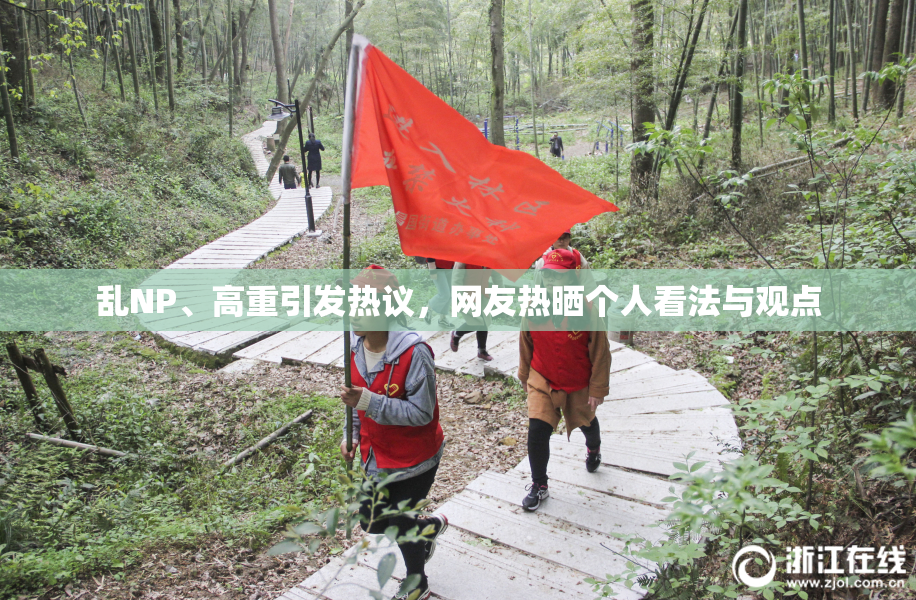 乱NP、高重引发热议，网友热晒个人看法与观点