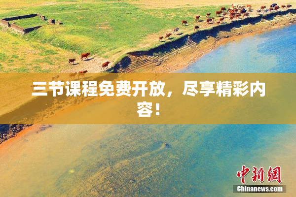三节课程免费开放，尽享精彩内容！