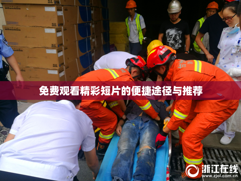 免费观看精彩短片的便捷途径与推荐