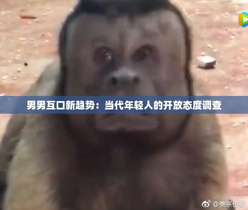 男男互口新趋势：当代年轻人的开放态度调查