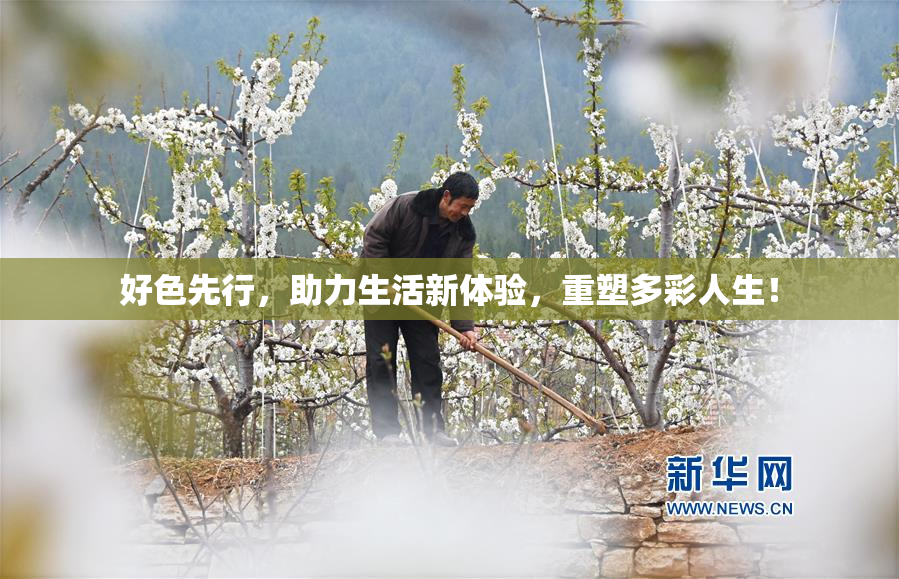 好色先行，助力生活新体验，重塑多彩人生！
