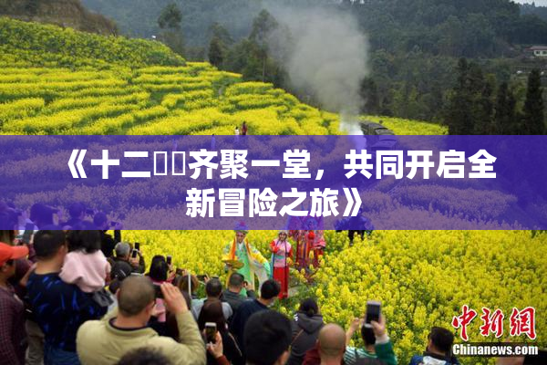 《十二妺妺齐聚一堂，共同开启全新冒险之旅》