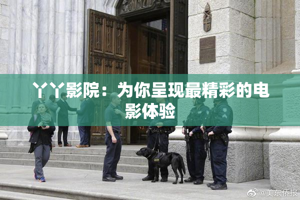 丫丫影院：为你呈现最精彩的电影体验
