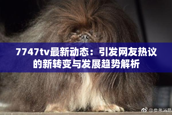 7747tv最新动态：引发网友热议的新转变与发展趋势解析