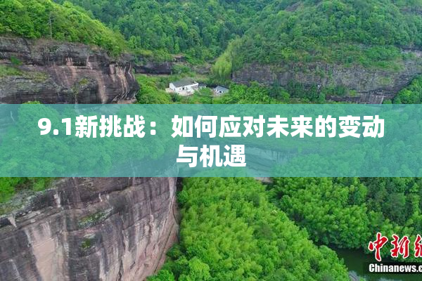 9.1新挑战：如何应对未来的变动与机遇