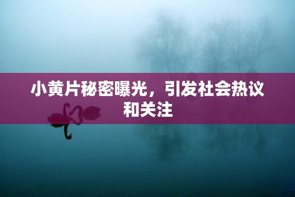 小黄片秘密曝光，引发社会热议和关注